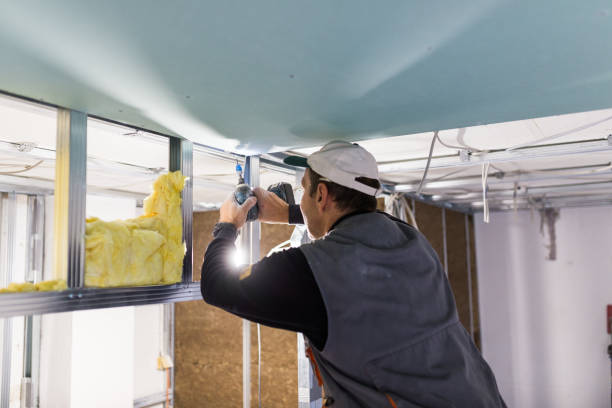 Best Insulation Maintenance and Repair in Moorefield, WV